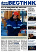 Вестник (корпоративная газета) №41 январь 2013