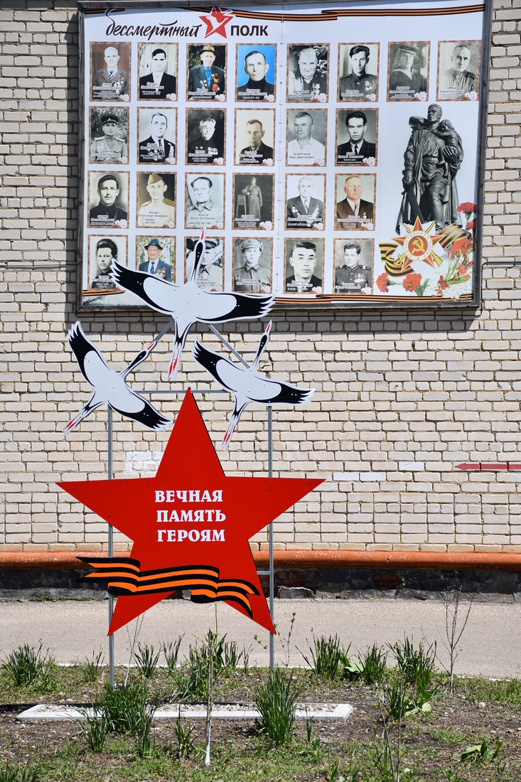 Журавли как символ памяти о героях Отечества. Фото Светланы Скрыльниковой
