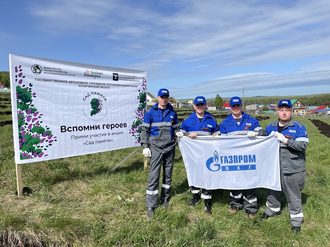 Работники Башкирского УАВР и КРС высадили сосны в селе Мраково Кугарчинского района